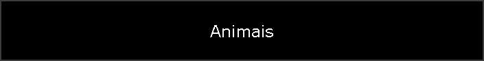 Animais